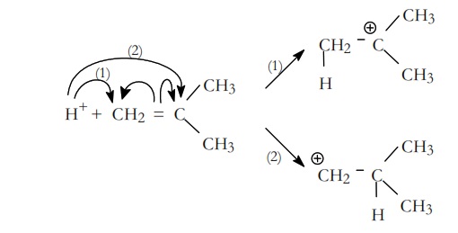 mecanismo cationico 24
